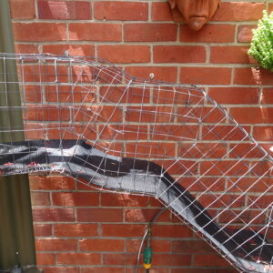 Photo of a cat for Grappling Hook, Rubber Edition